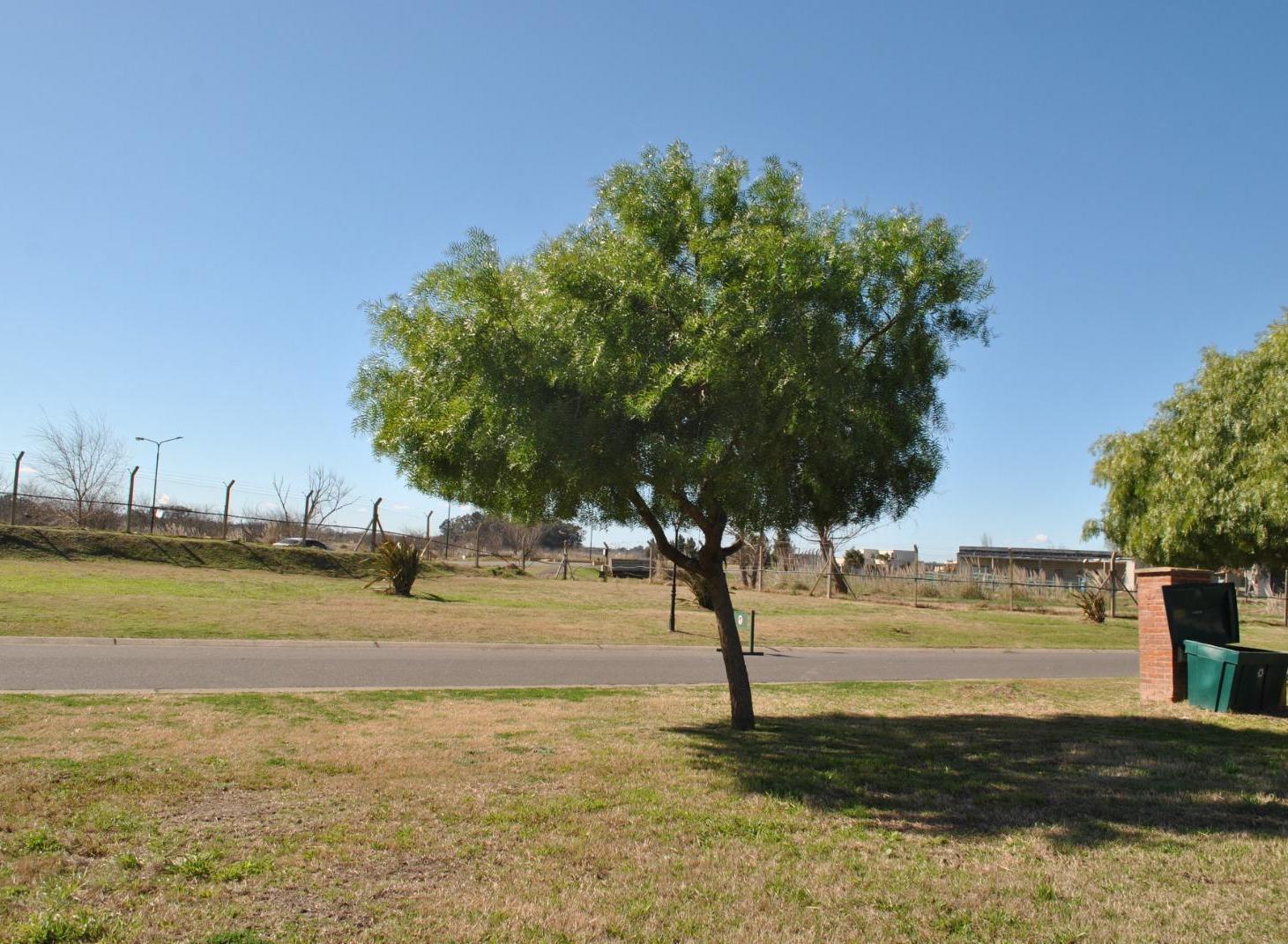 Foto de Hermoso lote a la laguna en Area 8, San Sebastián, imagen 3