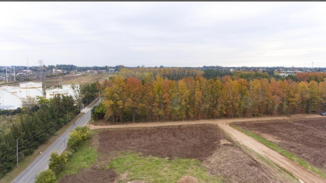 Foto de Venta LOTE de 300mts. (ultimo disponible) Barrio Parque LOS OLMOS, imagen 1