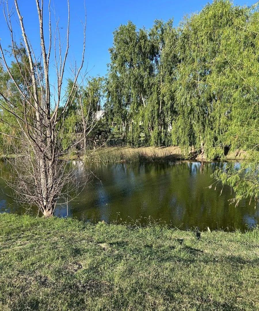 Foto de Venta Lote Santa Elena, vista al lago, imagen 5