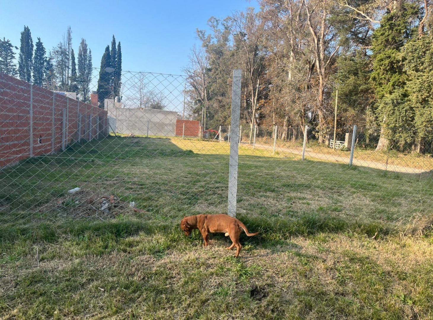 Foto de venta lote - la lona pilar, imagen 4