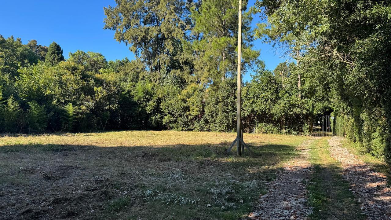 Foto de Venta terreno - en la Lonja Pilar, imagen 3