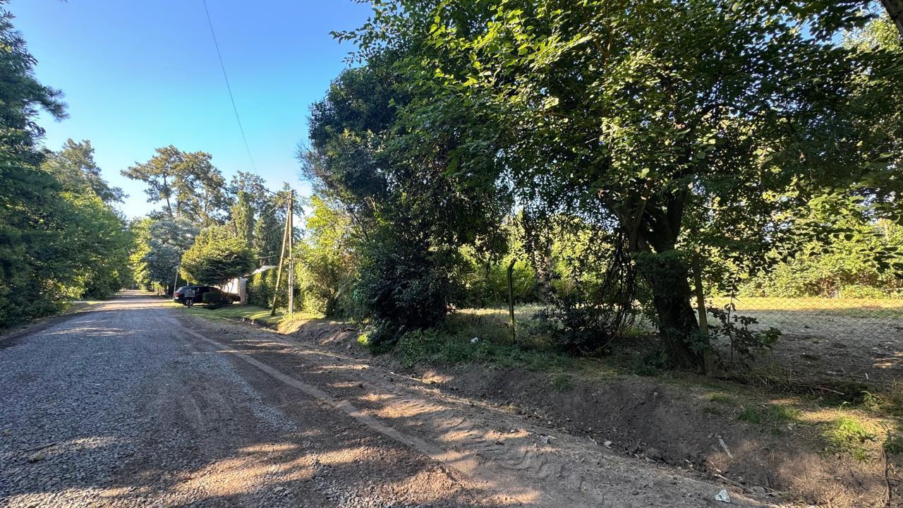 Foto de Venta terreno - en la Lonja Pilar, imagen 5
