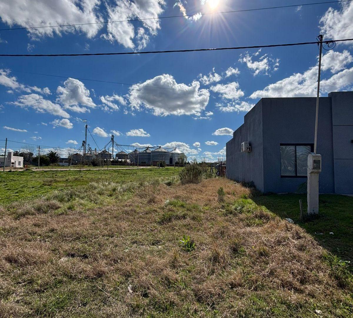 Foto de Venta Lote 322 mts 2 - Tala Entre Rios, imagen 3