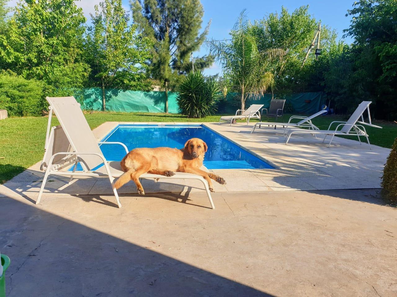 Foto de Venta casa 4 ambientes con pileta en barrio Tipas Blancas - Yei Porá, imagen 5