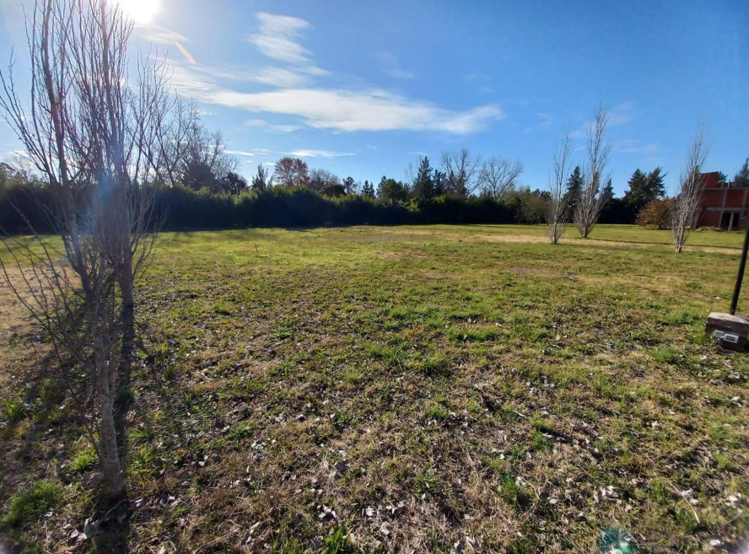 Foto de VENTA LOTES - ALAMOS YEI PORA, imagen 1
