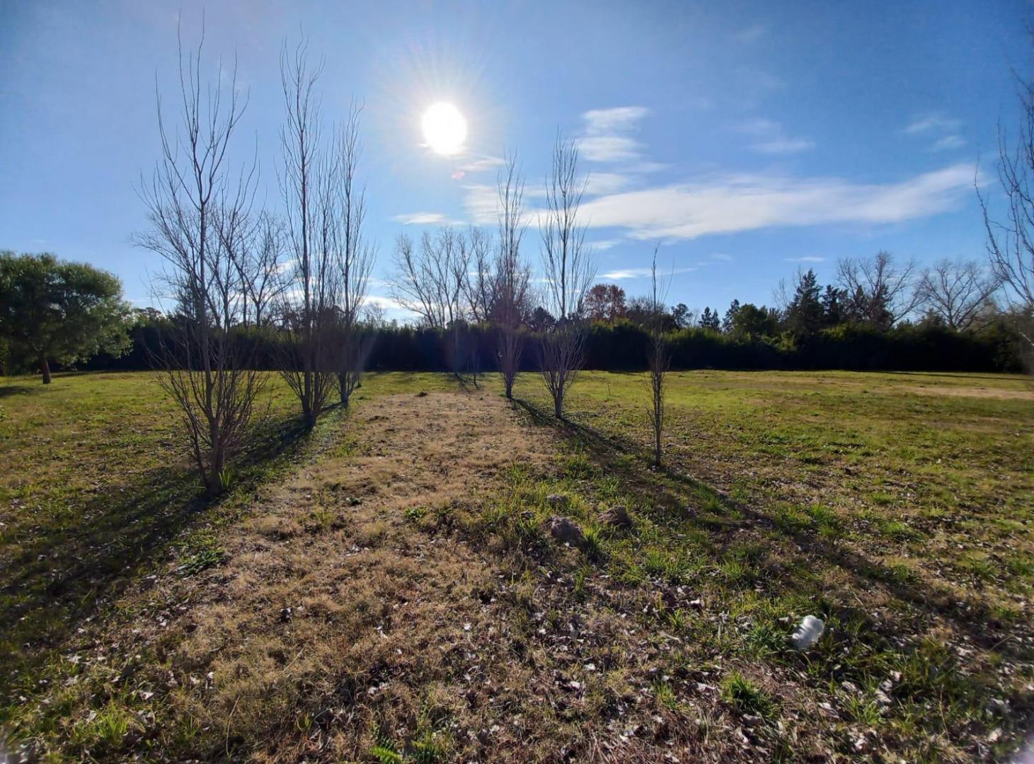 Foto de VENTA LOTES - ALAMOS YEI PORA, imagen 3