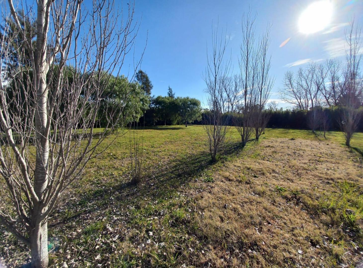 Foto de VENTA LOTES - ALAMOS YEI PORA, imagen 4