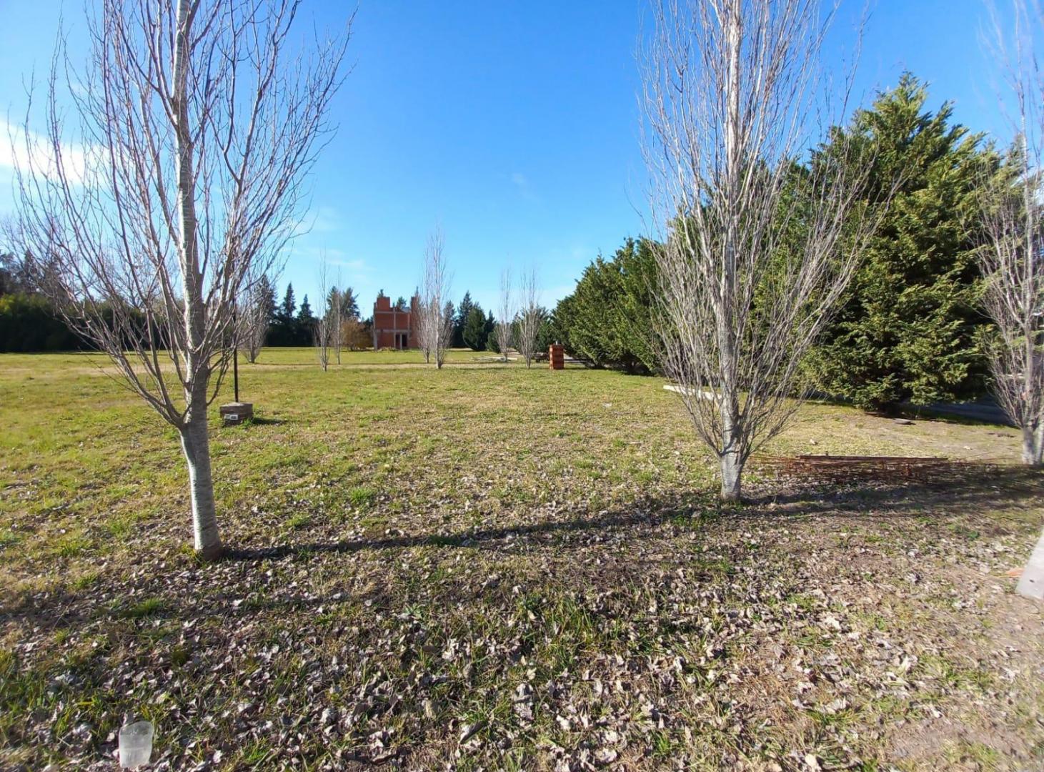 Foto de VENTA LOTES - ALAMOS YEI PORA, imagen 2