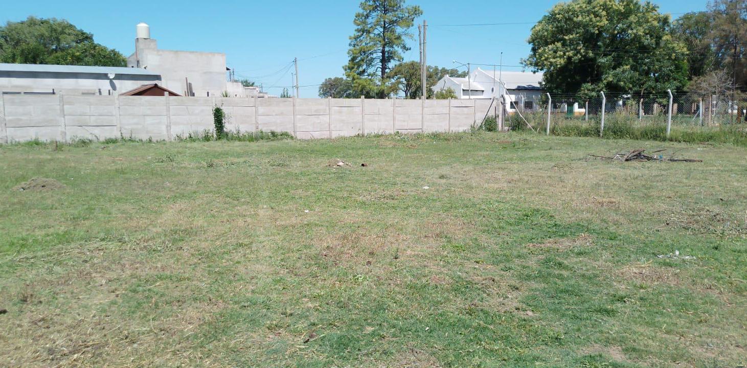 Foto de Venta Terreno en Carmen De Areco, imagen 2