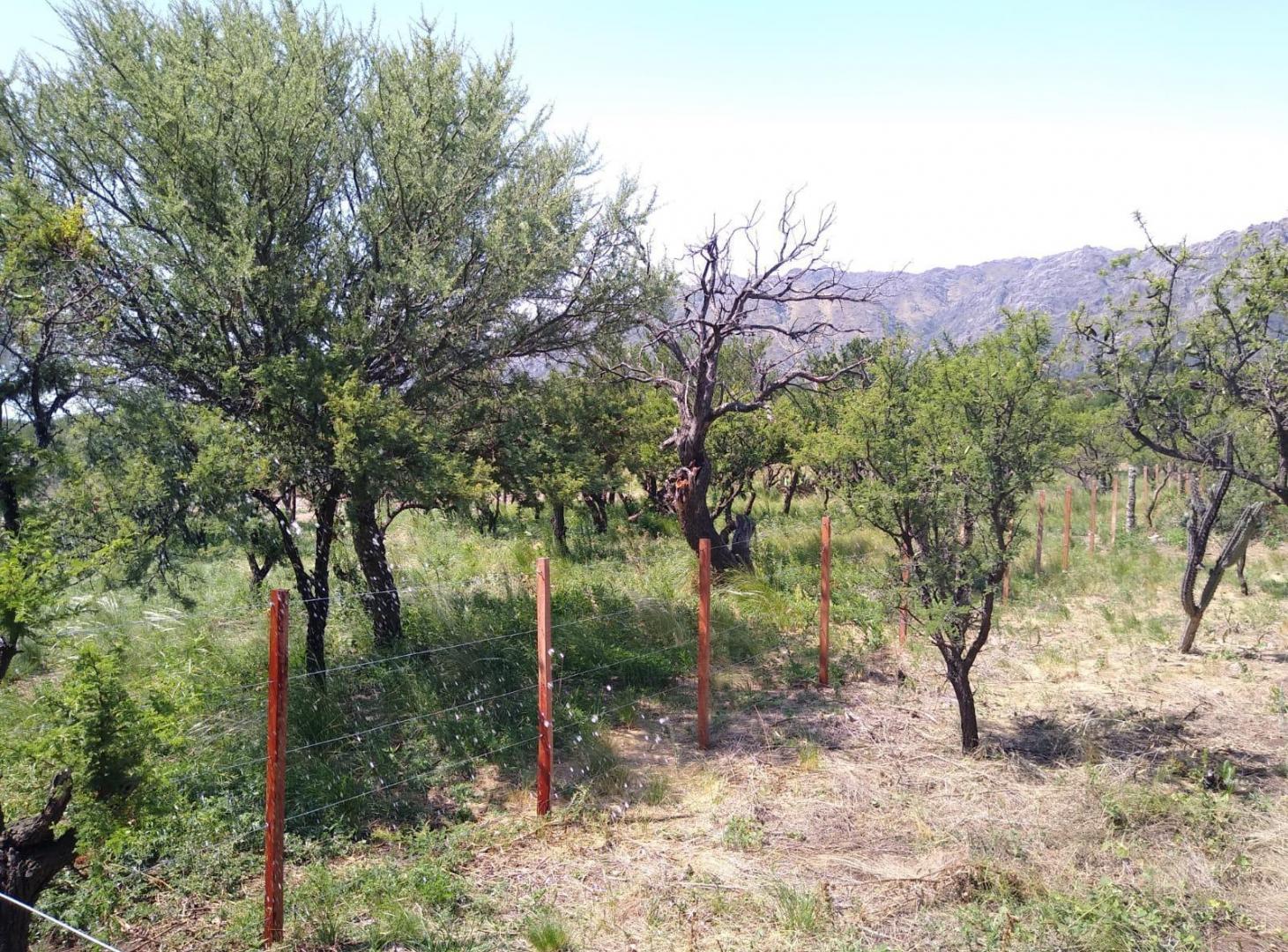 Foto de Venta lote 1000 m2 - Villa Larca , San luis, imagen 3