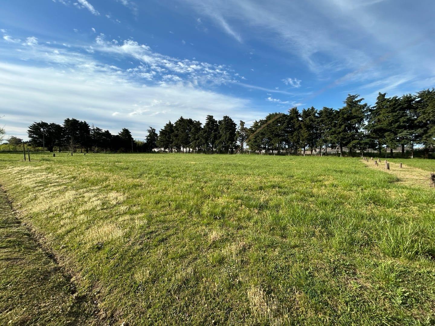 Foto de VENTA LOTE COMERCIAL POLO ECOINDUSTRIAL PARADA ROBLES - EXALTACION DE, imagen 2