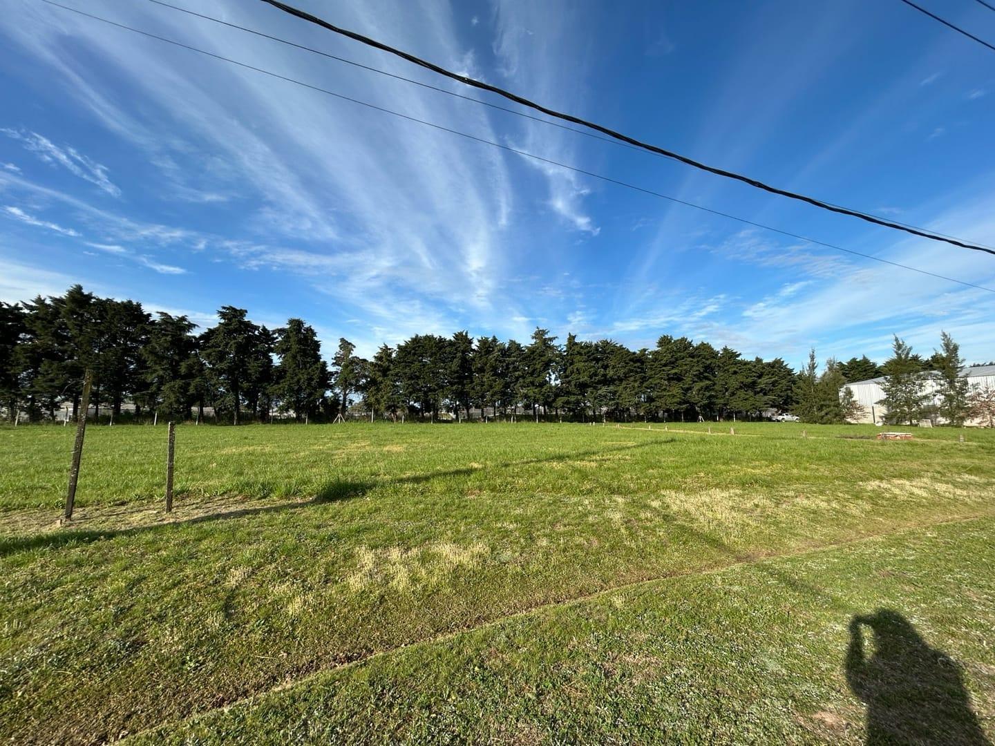 Foto de VENTA LOTE COMERCIAL POLO ECOINDUSTRIAL PARADA ROBLES - EXALTACION DE, imagen 5