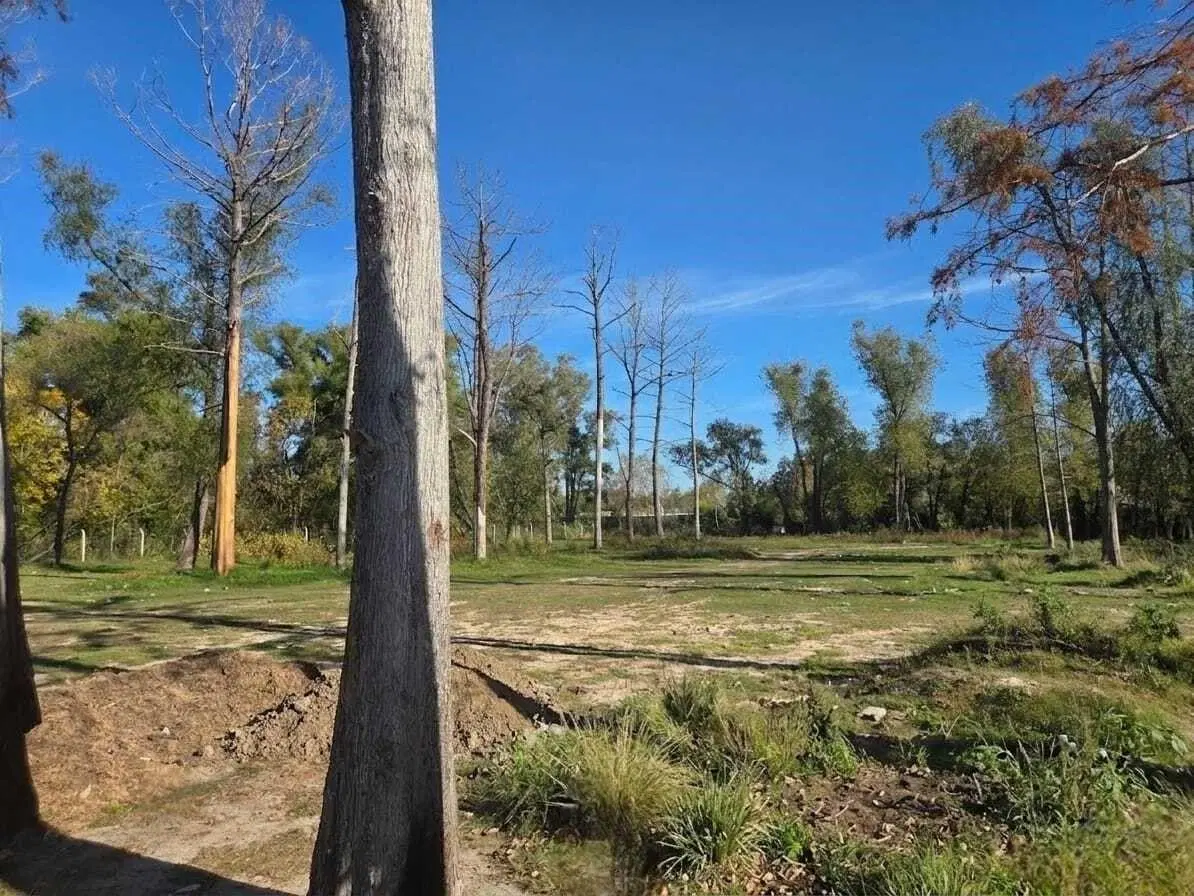 Terreno Fraccion en Venta en Dique Luján, Tigre, G.B.A. Zona Norte 5