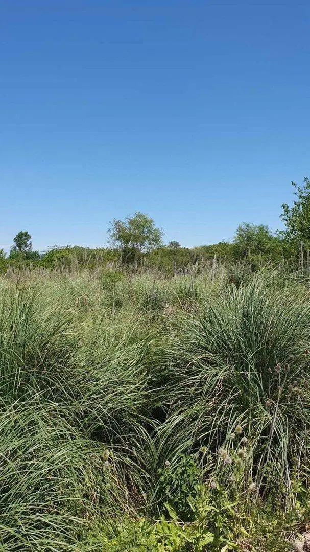 Terreno Fraccion  en Venta ubicado en Benavidez, Tigre, G.B.A. Zona Norte 5