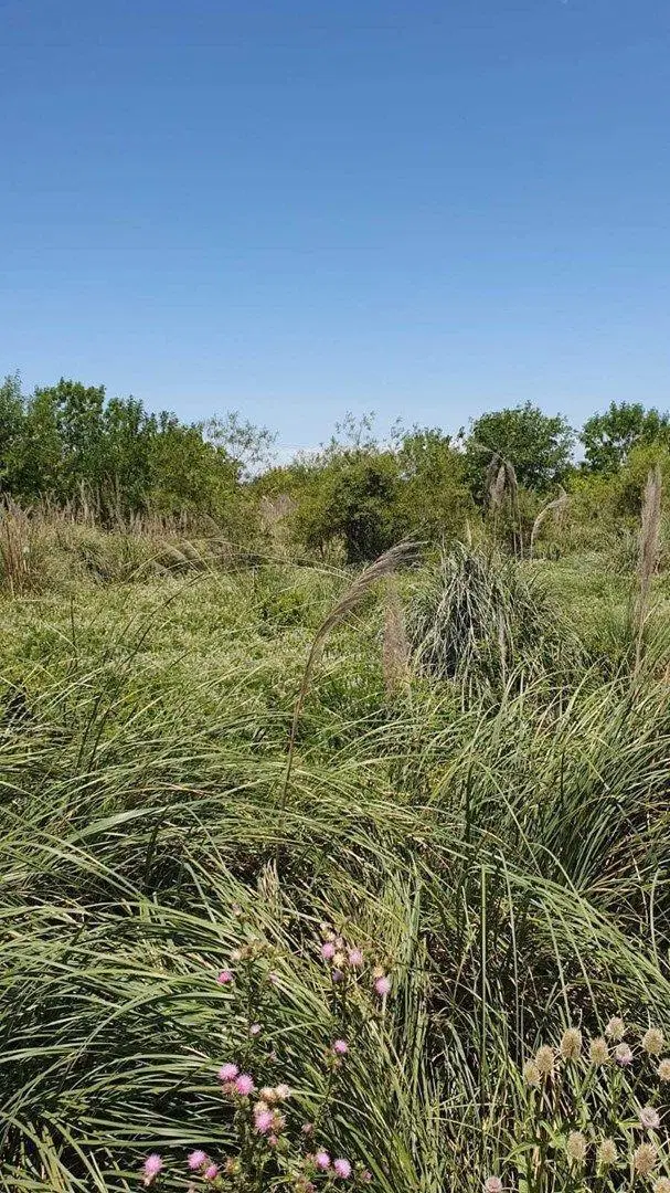 Terreno Fraccion  en Venta ubicado en Benavidez, Tigre, G.B.A. Zona Norte 4
