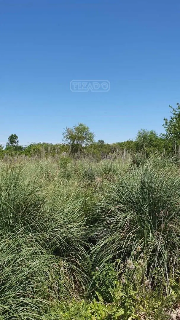 Terreno Fraccion en Venta en Benavidez, Tigre, G.B.A. Zona Norte 5