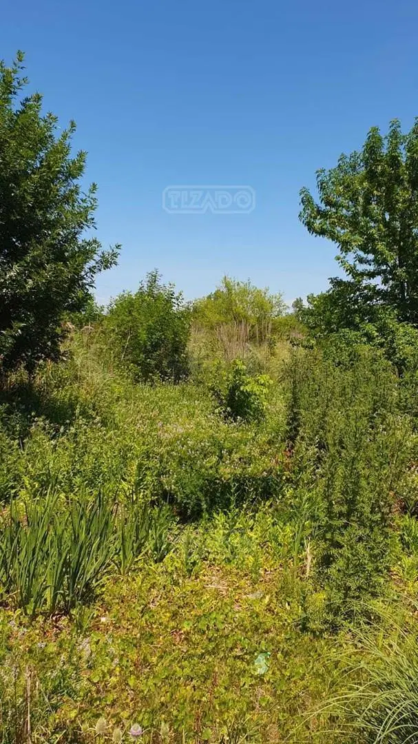 Terreno Fraccion en Venta en Benavidez, Tigre, G.B.A. Zona Norte 3