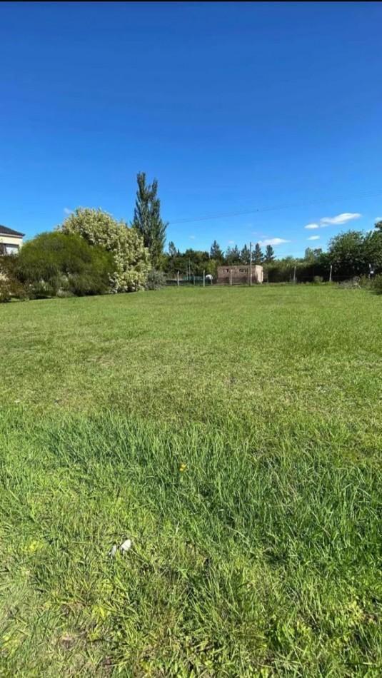 VENTA - LOTE / TERRENO