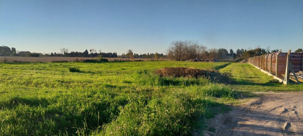 Foto de Venta. LOTE 6.200 m2 en MONTE VERA., imagen 5