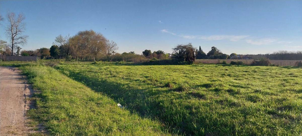 Foto de Venta. LOTE 6.200 m2 en MONTE VERA., imagen 1