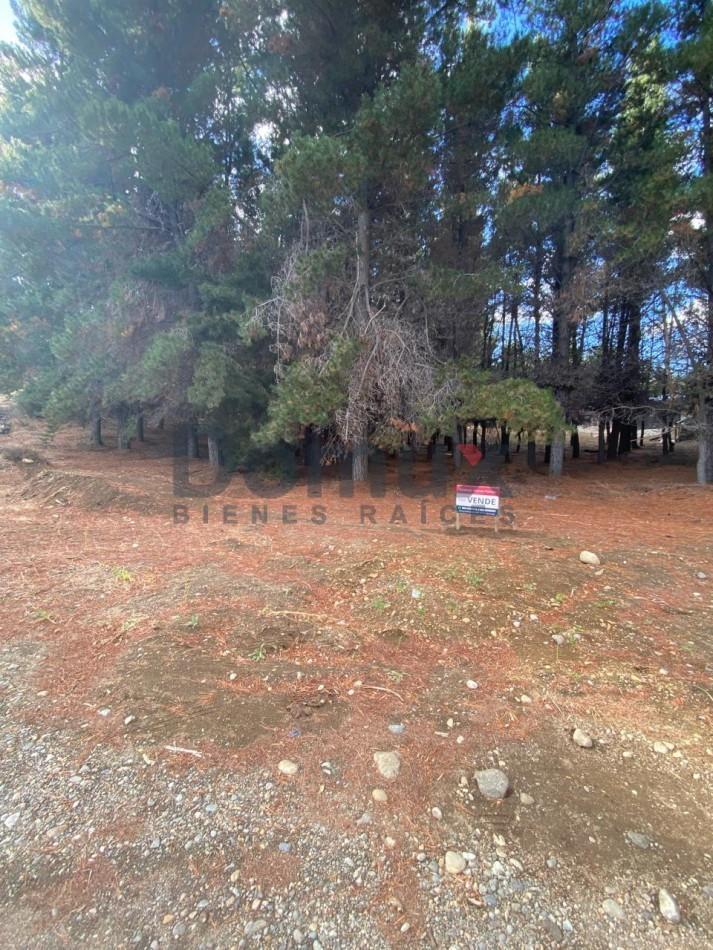 Oportunidad! Ultimo Disponible - Lote en Las Petunias y Barabino - Dina Huapi 2