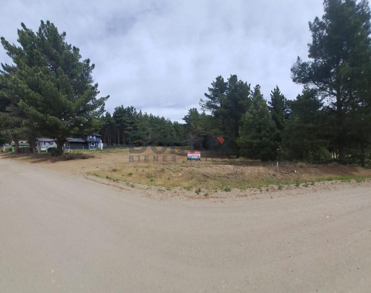 Ultimo! Oportunidad. Lote en PH - Calle Los Nogales y Petunias - Dina Huapi 1