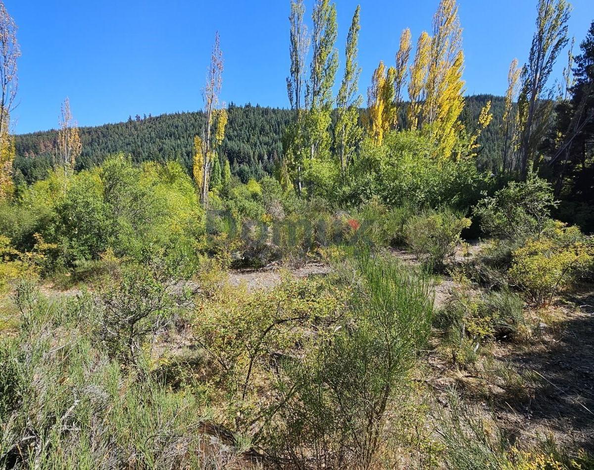 Campo con Gran Potencial en Venta a 5 Minutos de Bolson - Los Repollos 3