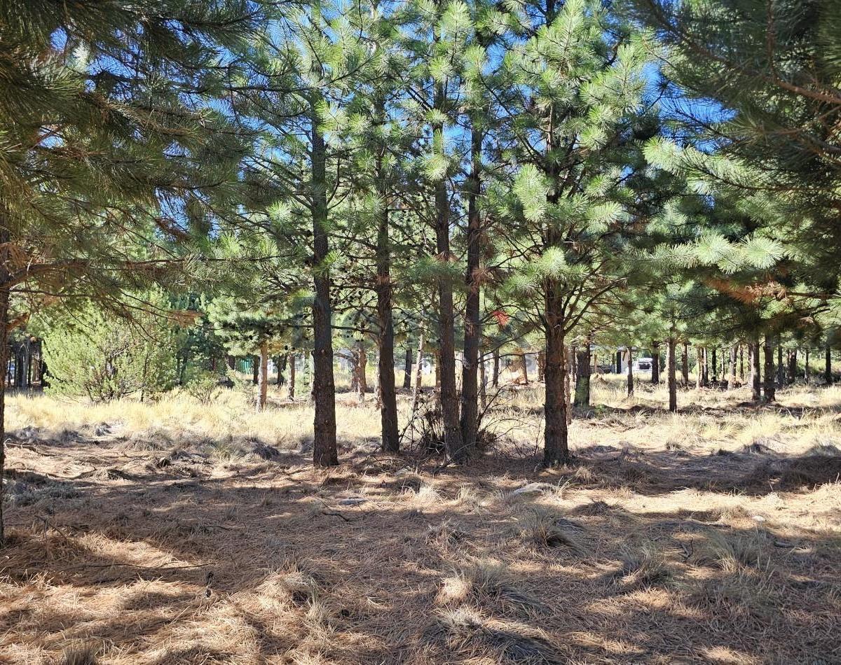 LOTE EN DOS VALLES FINANCIADO