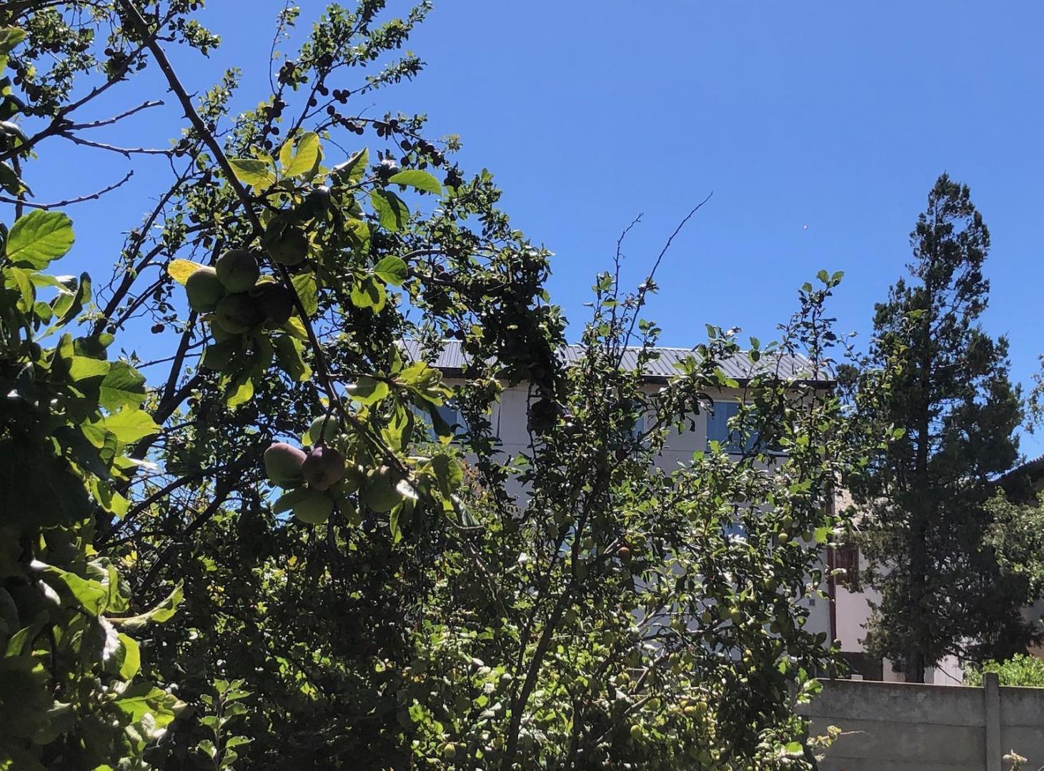 Terreno para desarrollo centro de Bariloche