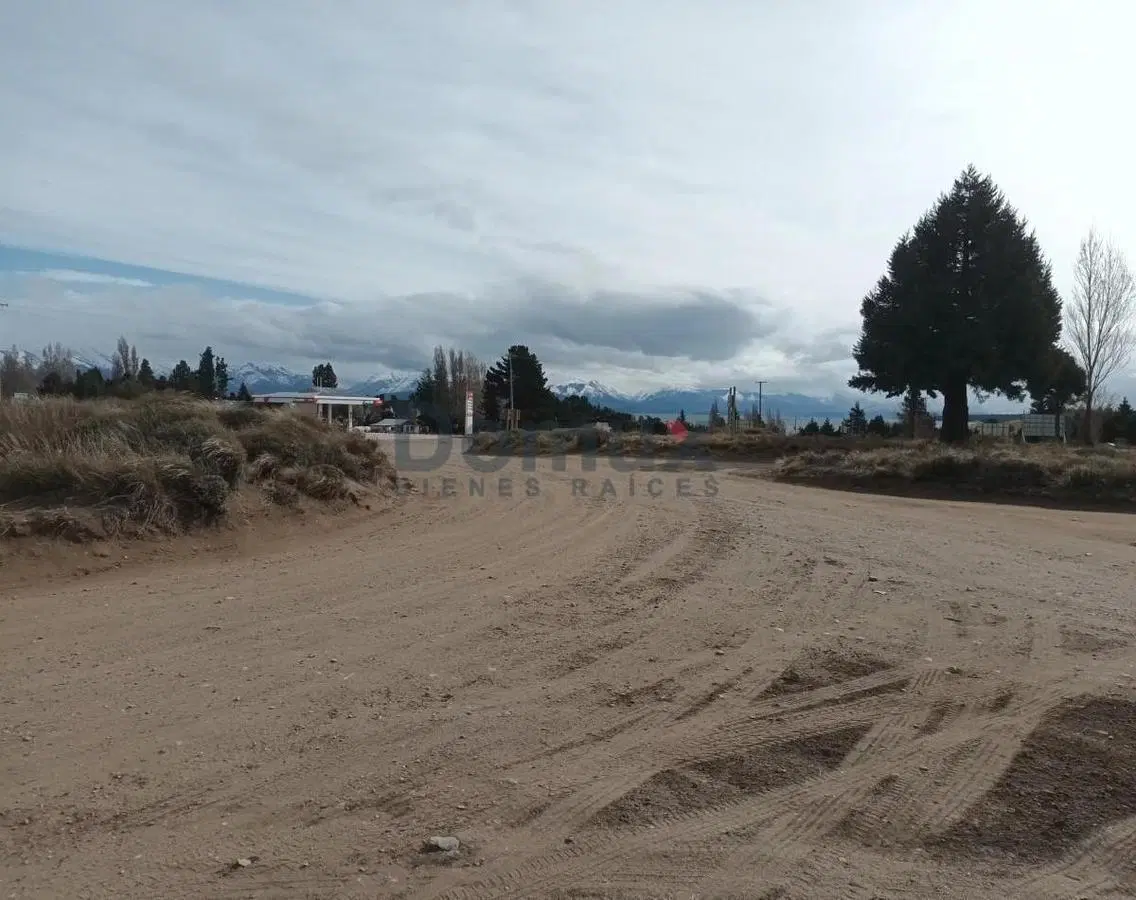 LOTE EN PH 4