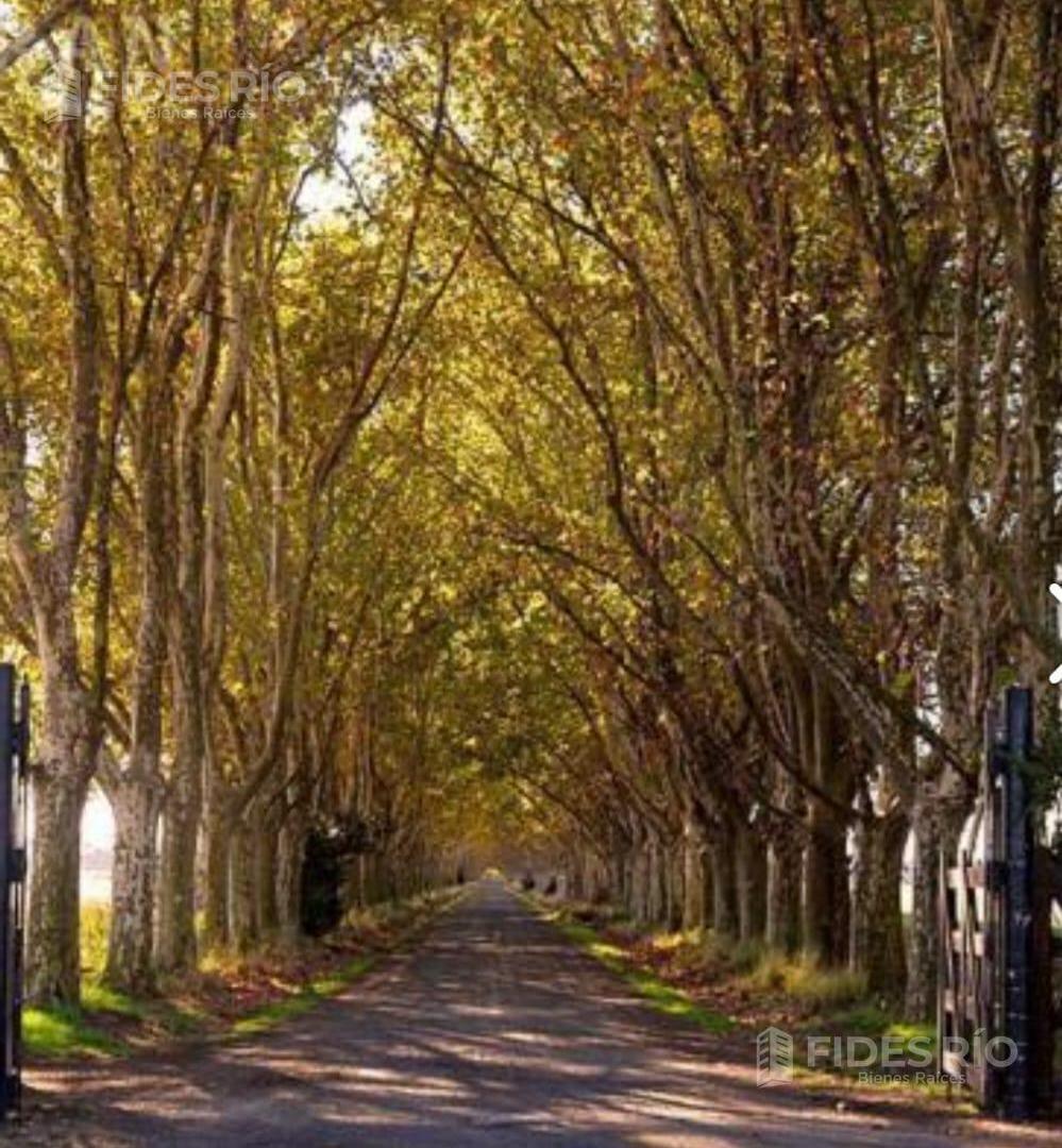 Foto de VENTA PERMUTA TERRENOS AZHARES DEL PARANA, imagen 2
