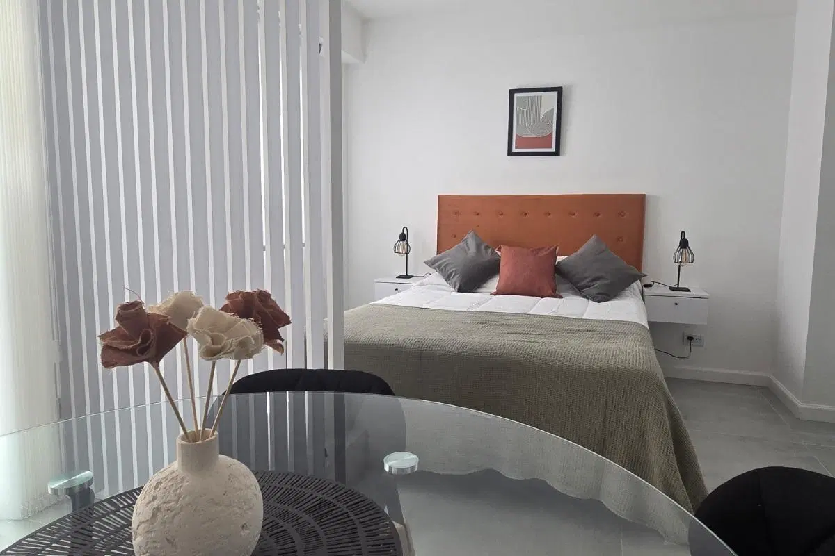 Departamento Monoambiente con Balcon Plaza Colon 5
