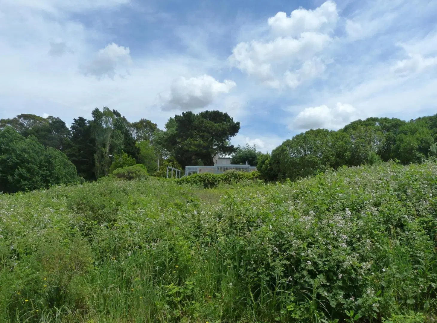 Terreno en Sierra de los Padres 1450m2 5