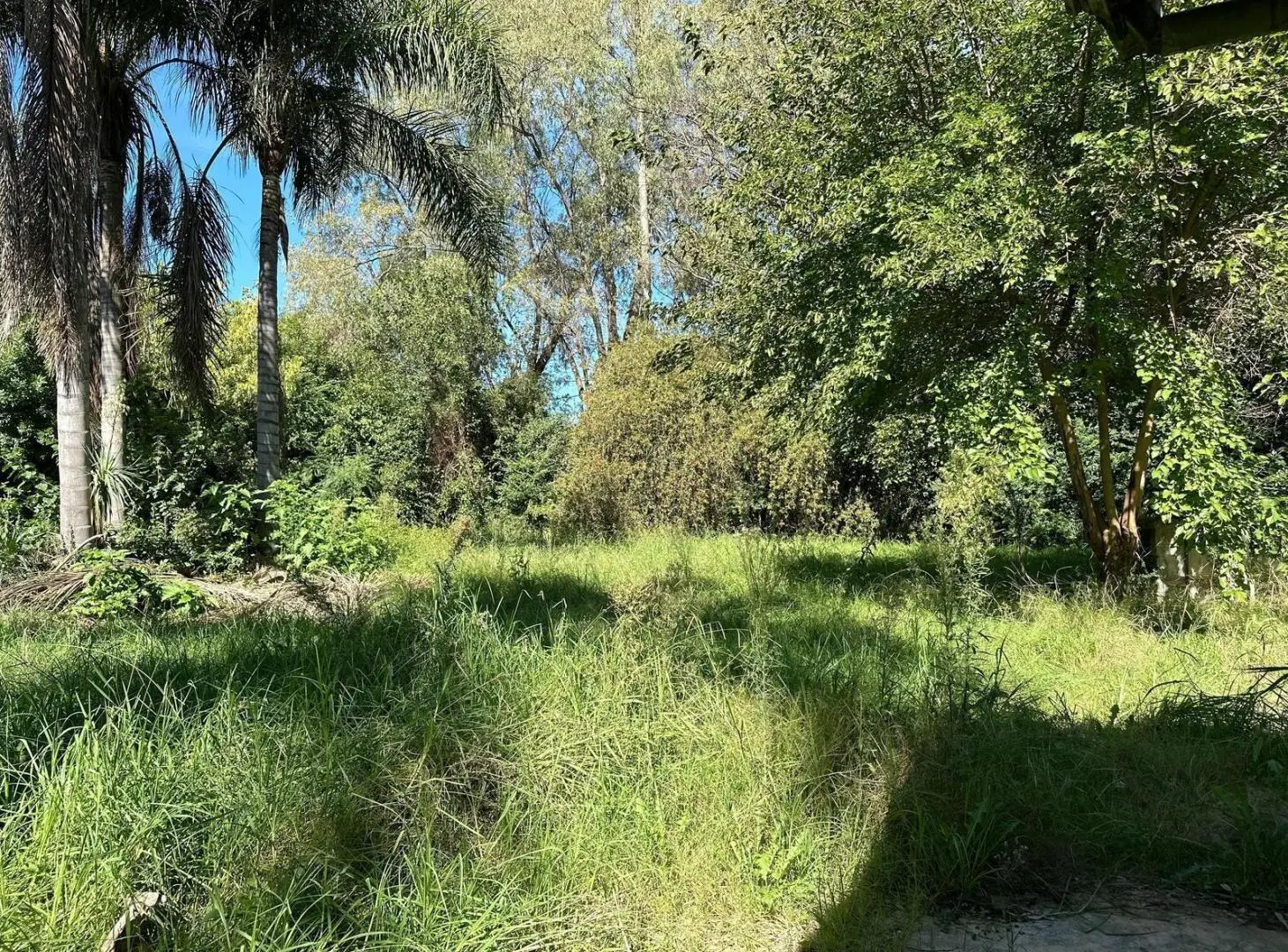 Venta de Lote en Ing. Maschwitz 2