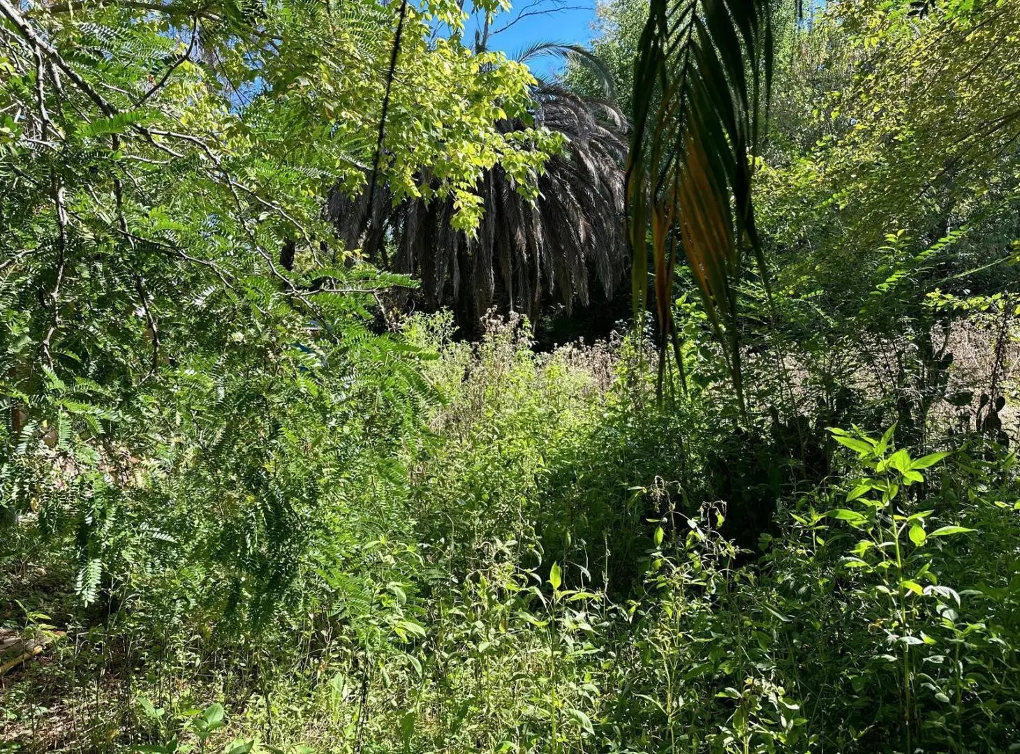 Venta de Lote en Ing. Maschwitz 3