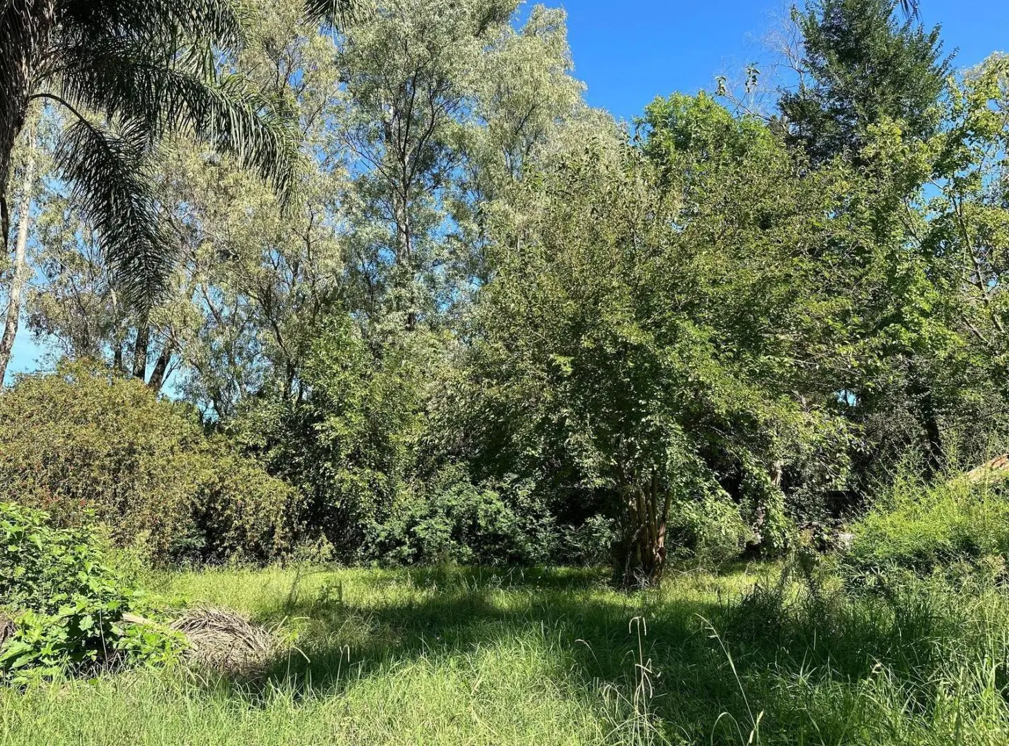 Venta de Lote en Ing. Maschwitz 5