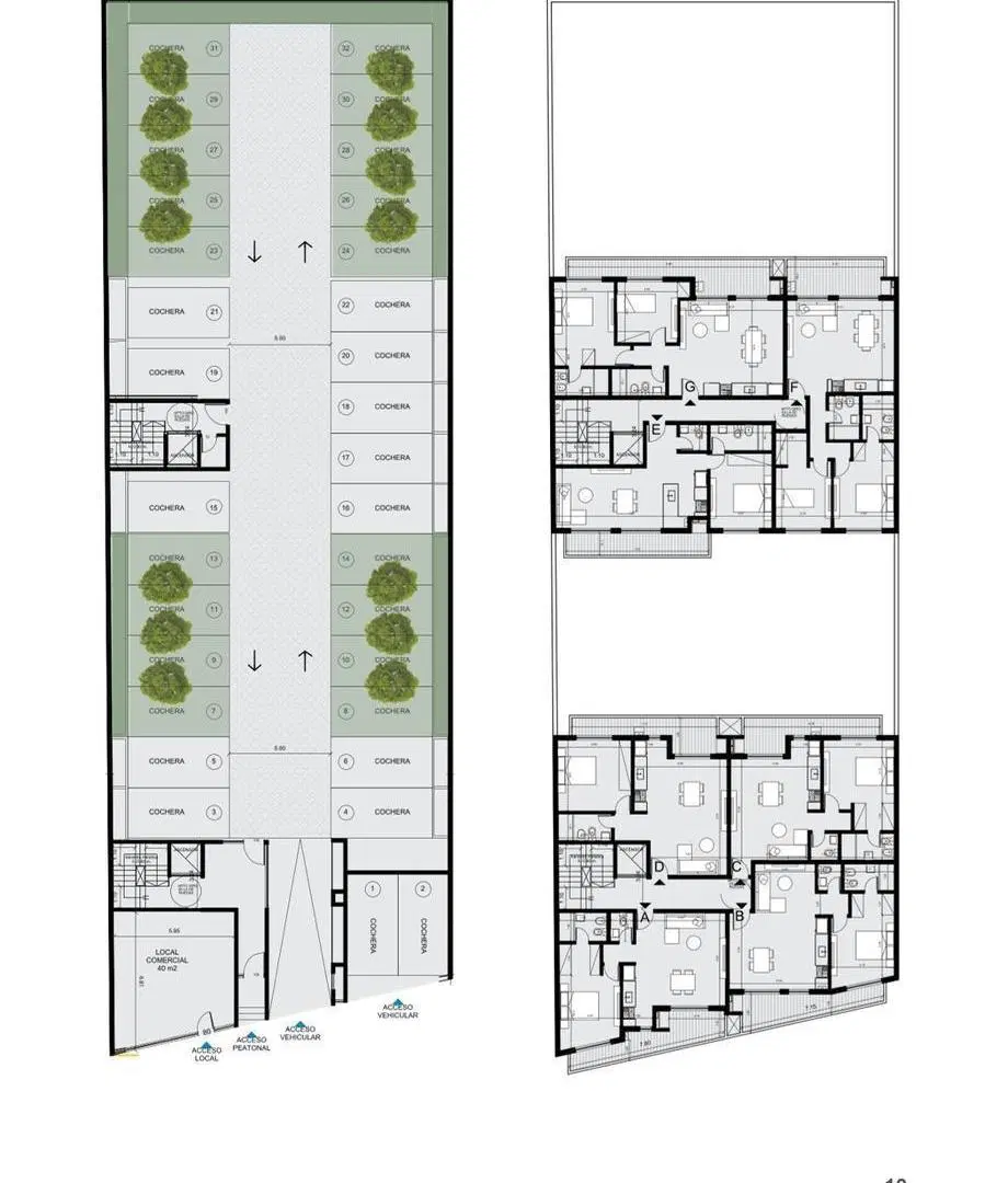 Plano 6