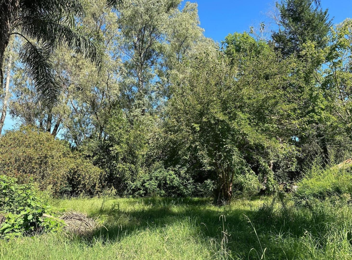Foto de Venta de Lote en Ing. Maschwitz, imagen 1