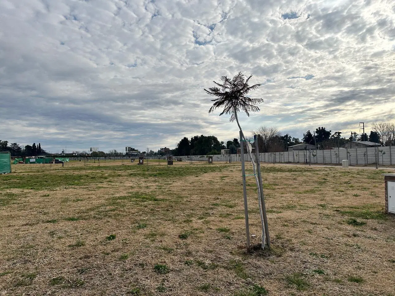 Terreno en venta 394m2 en el Barrio El Olivar 8