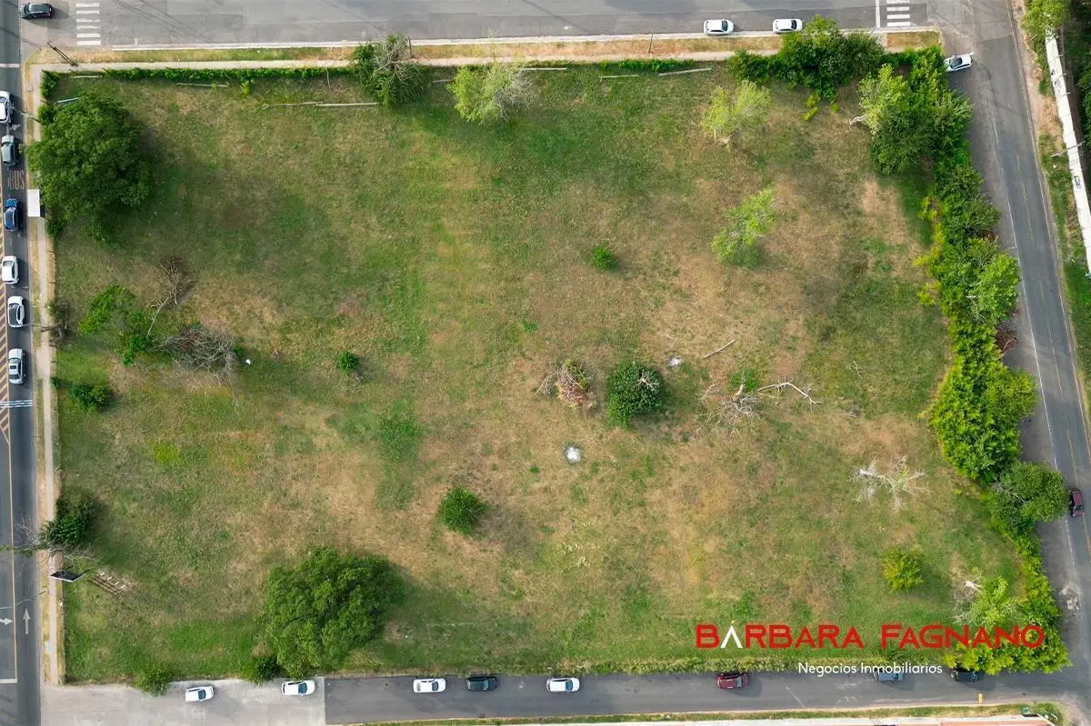 Fracción de 9.776m2 en Alquiler sobre Av Caamaño 5