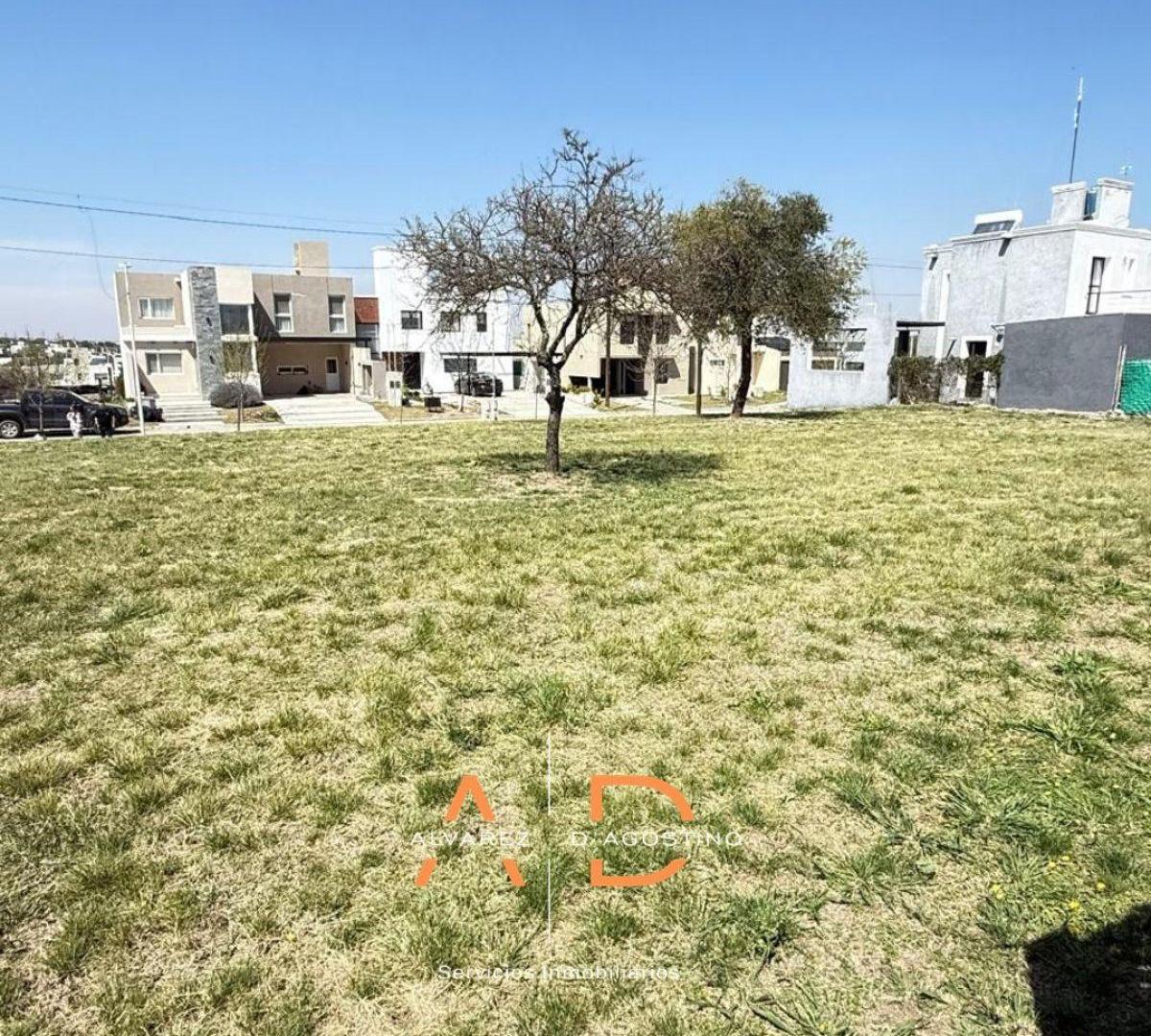Foto de Terreno de 350 m² en venta en Tejas 4, imagen 2