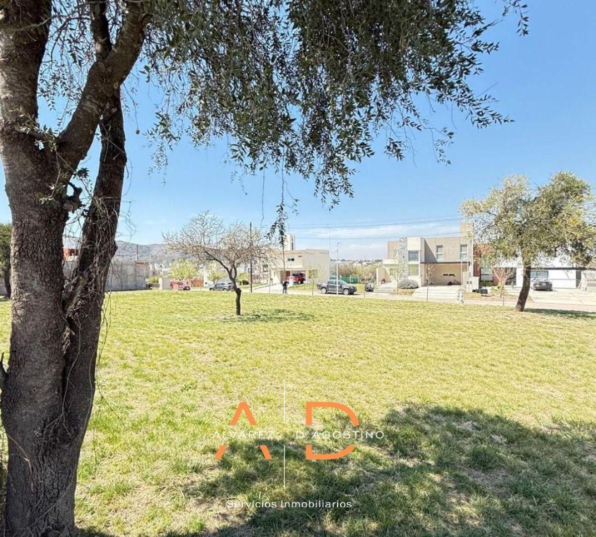 Foto de Terreno de 350 m² en venta en Tejas 4, imagen 4