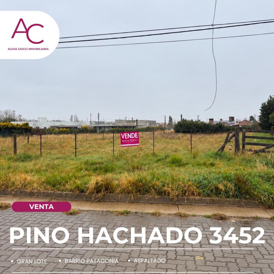 Foto de TERRENO EN VENTA | BARRIO PATAGONIA! EN CALLE PINO HACHADO 3452, imagen 1