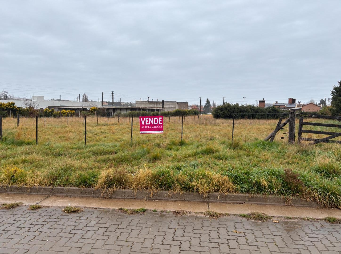 Foto de TERRENO EN VENTA | BARRIO PATAGONIA! EN CALLE PINO HACHADO 3452, imagen 4