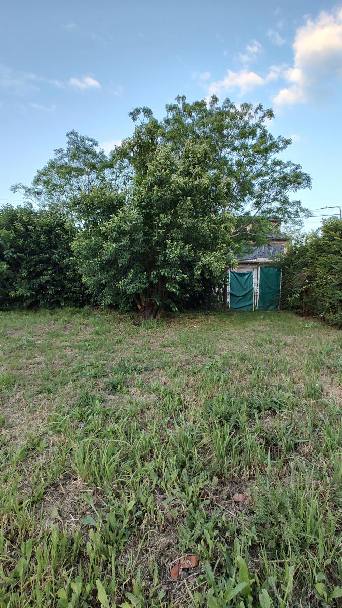 Excelente Terreno en Venta en Chacabuco Entre Avellaneda y Balcarce, Marcos Paz 4