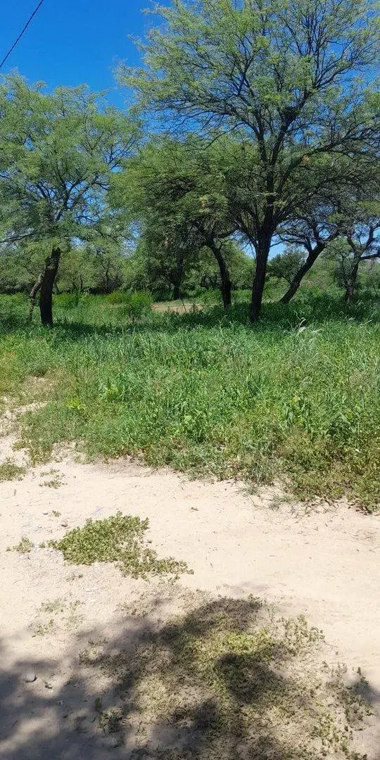 Lote en camino de la costa a 600m de Virg de Guada 3