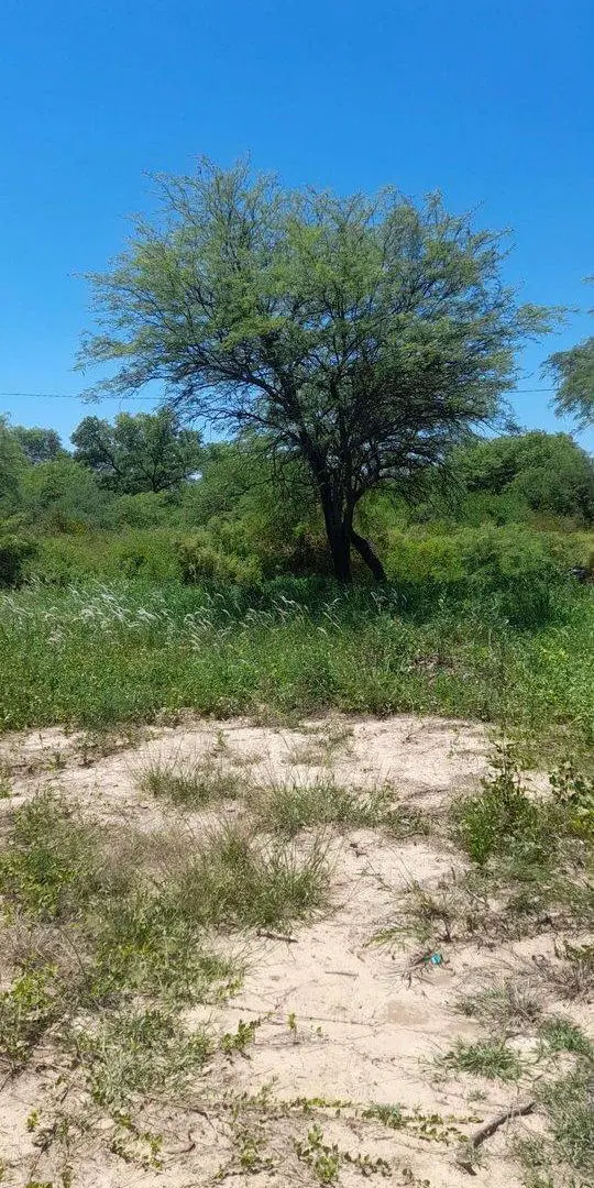 Lote en camino de la costa a 600m de Virg de Guada 5
