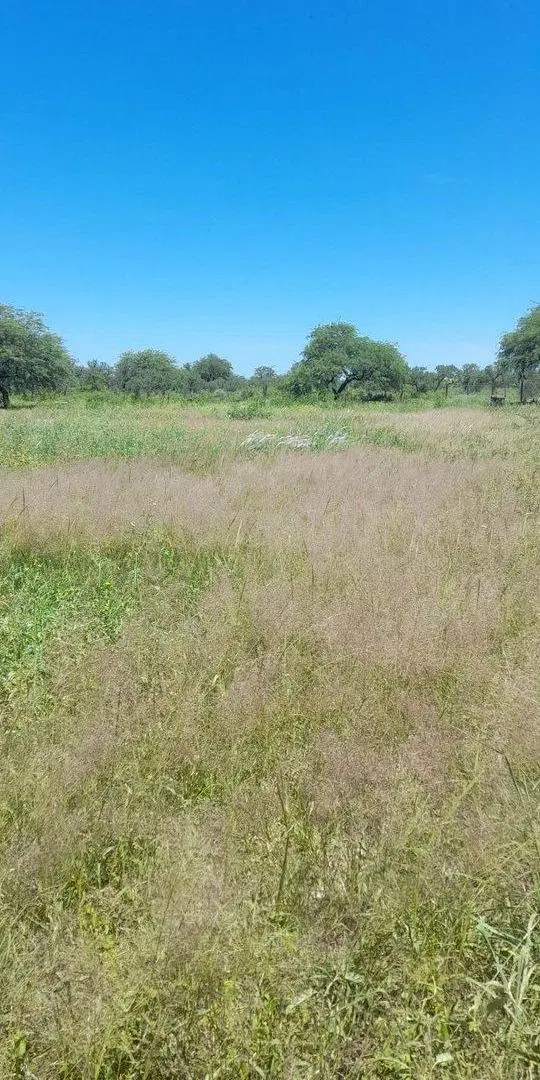 Lote en camino de la costa a 600m de Virg de Guada 2