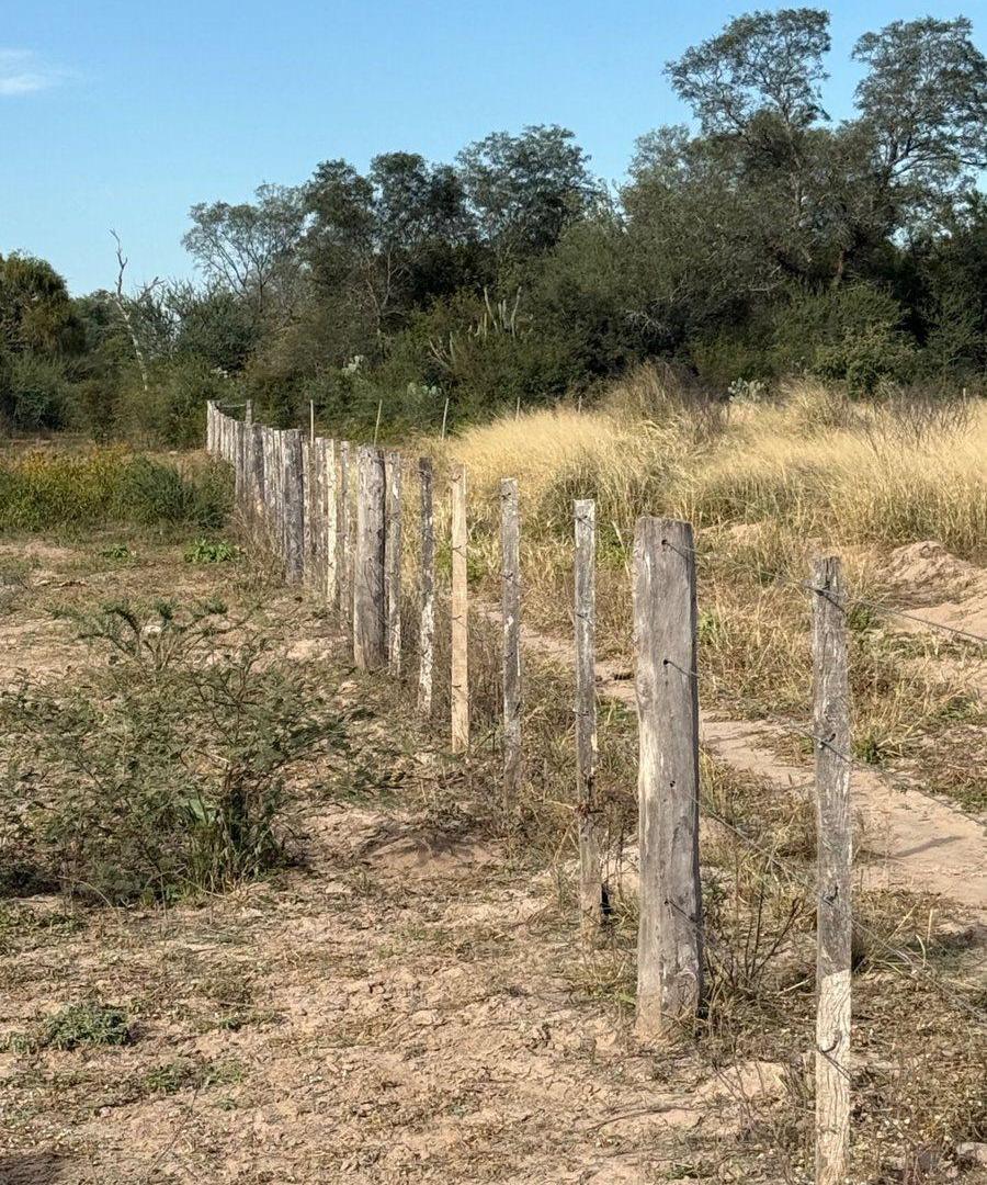 VENTA DE CAMPO EN FERNANDEZ - SANTIAGO DEL ESTERO