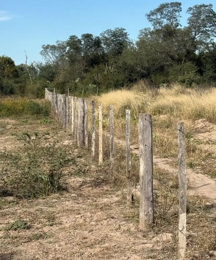 VENTA DE CAMPO EN FERNANDEZ - SANTIAGO DEL ESTERO 3